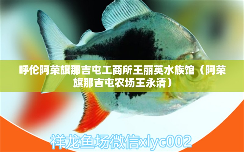 呼倫阿榮旗那吉屯工商所王麗英水族館（阿榮旗那吉屯農(nóng)場王永清） 全國水族館企業(yè)名錄