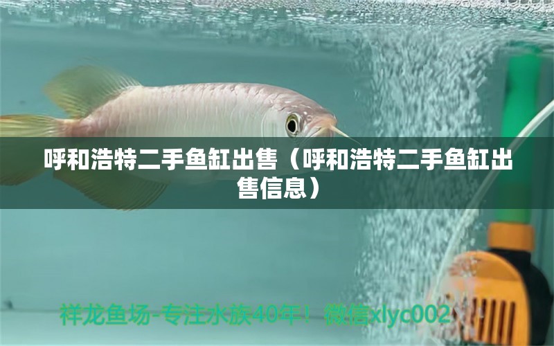 呼和浩特二手魚缸出售（呼和浩特二手魚缸出售信息） 祥龍水族醫(yī)院