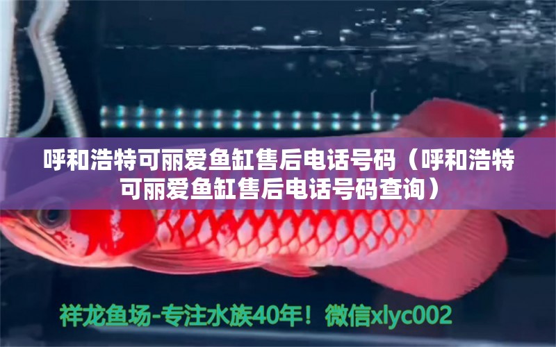 呼和浩特可麗愛魚缸售后電話號碼（呼和浩特可麗愛魚缸售后電話號碼查詢）