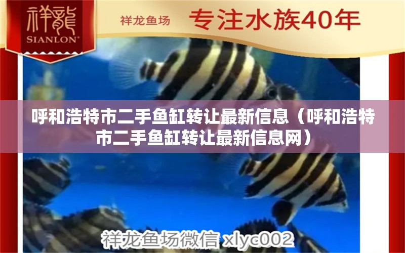 呼和浩特市二手魚缸轉(zhuǎn)讓最新信息（呼和浩特市二手魚缸轉(zhuǎn)讓最新信息網(wǎng)）