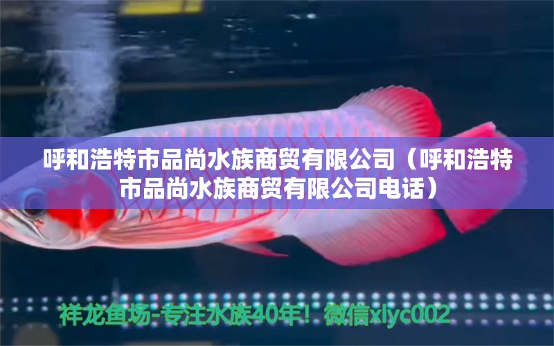 呼和浩特市品尚水族商貿(mào)有限公司（呼和浩特市品尚水族商貿(mào)有限公司電話） 全國水族館企業(yè)名錄