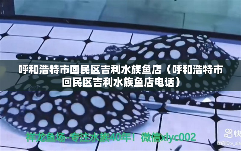 呼和浩特市回民區(qū)吉利水族魚店（呼和浩特市回民區(qū)吉利水族魚店電話） 全國水族館企業(yè)名錄