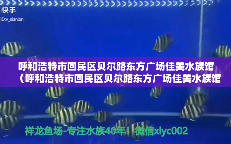 呼和浩特市回民區(qū)貝爾路東方廣場佳美水族館（呼和浩特市回民區(qū)貝爾路東方廣場佳美水族館電話號(hào)碼） 全國水族館企業(yè)名錄