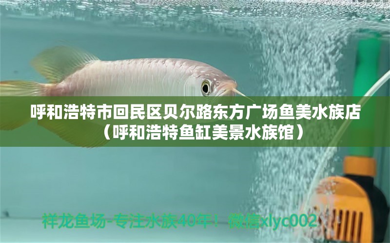 呼和浩特市回民區(qū)貝爾路東方廣場(chǎng)魚(yú)美水族店（呼和浩特魚(yú)缸美景水族館）