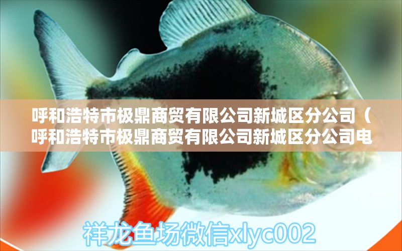 呼和浩特市極鼎商貿有限公司新城區(qū)分公司（呼和浩特市極鼎商貿有限公司新城區(qū)分公司電話） 全國水族館企業(yè)名錄