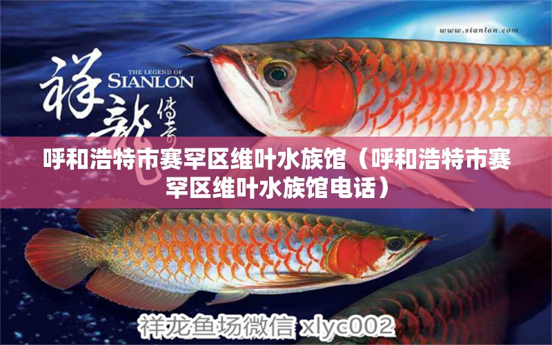 呼和浩特市賽罕區(qū)維葉水族館（呼和浩特市賽罕區(qū)維葉水族館電話）