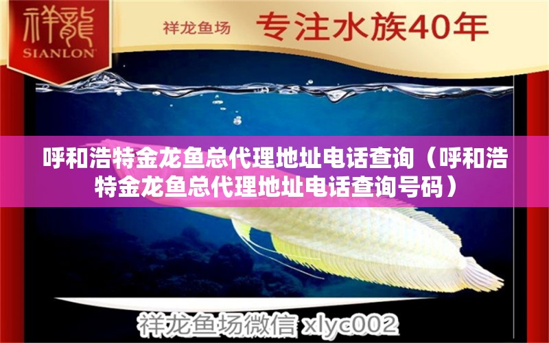 呼和浩特金龍魚總代理地址電話查詢（呼和浩特金龍魚總代理地址電話查詢號(hào)碼） 黃金達(dá)摩魚