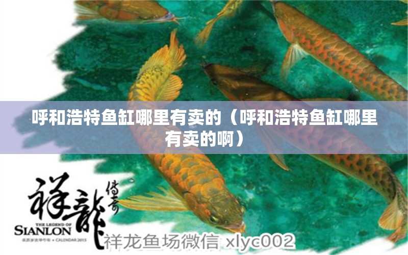 呼和浩特魚(yú)缸哪里有賣的（呼和浩特魚(yú)缸哪里有賣的?。? title=