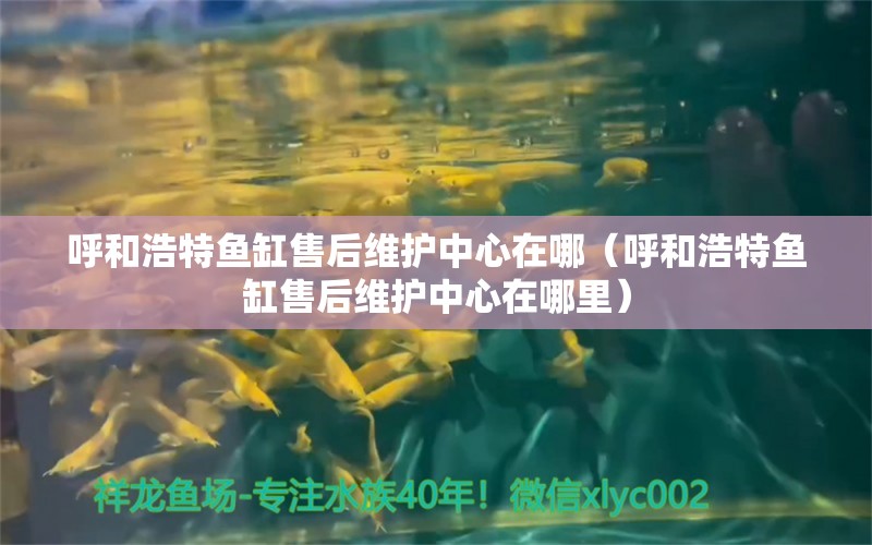 呼和浩特魚缸售后維護中心在哪（呼和浩特魚缸售后維護中心在哪里） 其他品牌魚缸