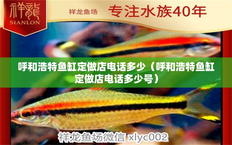 呼和浩特魚(yú)缸定做店電話多少（呼和浩特魚(yú)缸定做店電話多少號(hào)） 觀賞魚(yú)市場(chǎng)（混養(yǎng)魚(yú)）