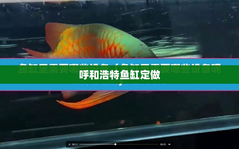 呼和浩特魚缸定做 水族問答 第1張