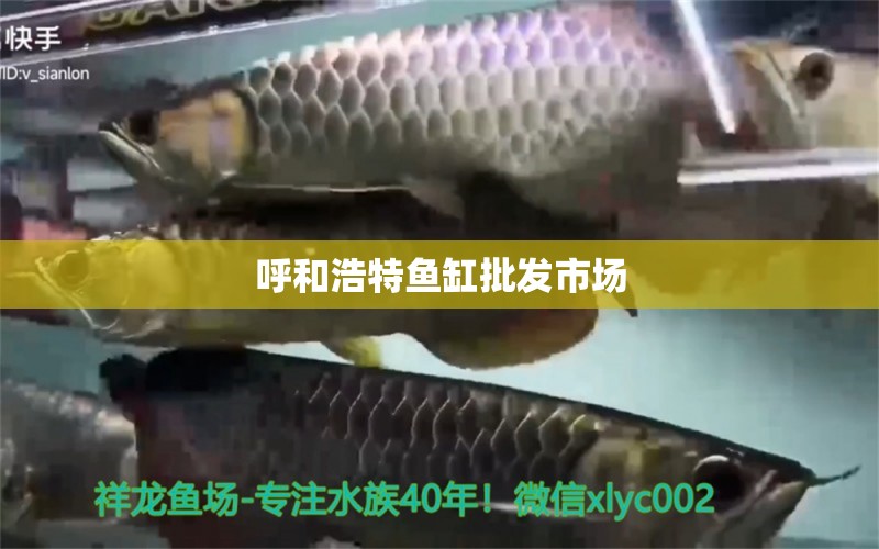 呼和浩特魚缸批發(fā)市場 其他品牌魚缸