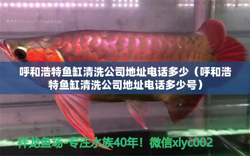 呼和浩特魚缸清洗公司地址電話多少（呼和浩特魚缸清洗公司地址電話多少號(hào)）