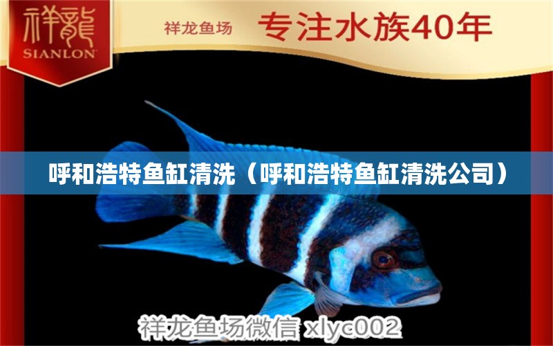 呼和浩特魚缸清洗（呼和浩特魚缸清洗公司）