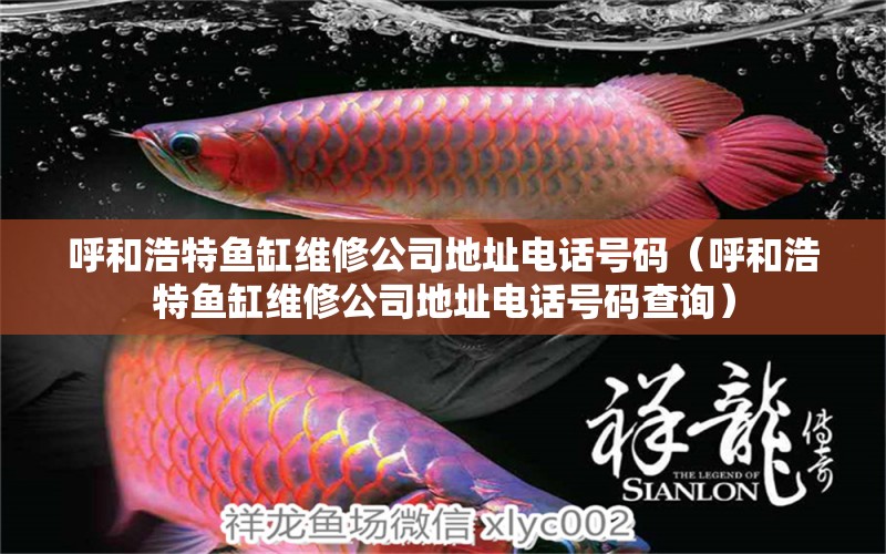 呼和浩特魚缸維修公司地址電話號碼（呼和浩特魚缸維修公司地址電話號碼查詢） 細(xì)線銀版魚