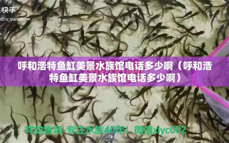 呼和浩特魚缸美景水族館電話多少?。ê艉秃铺佤~缸美景水族館電話多少啊）