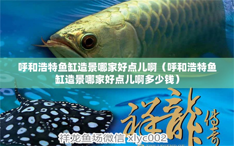 呼和浩特魚缸造景哪家好點(diǎn)兒?。ê艉秃铺佤~缸造景哪家好點(diǎn)兒啊多少錢） 觀賞魚市場（混養(yǎng)魚）