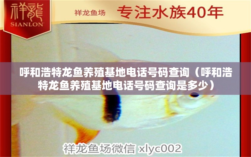 呼和浩特龍魚養(yǎng)殖基地電話號碼查詢（呼和浩特龍魚養(yǎng)殖基地電話號碼查詢是多少）