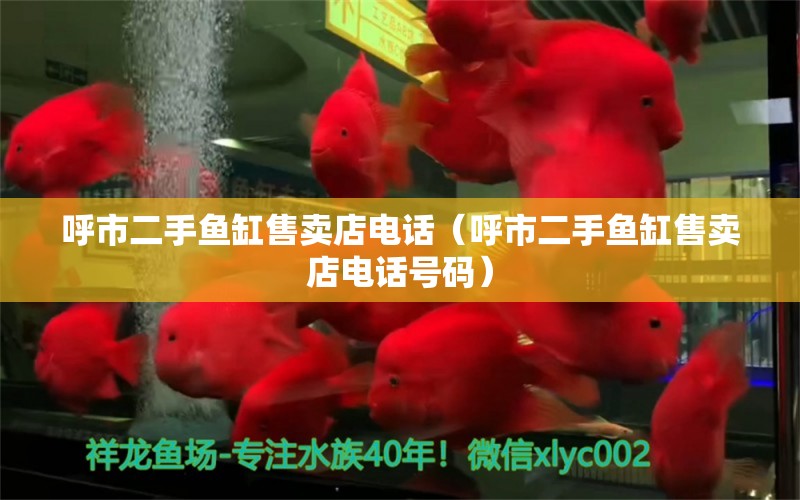 呼市二手魚缸售賣店電話（呼市二手魚缸售賣店電話號(hào)碼）