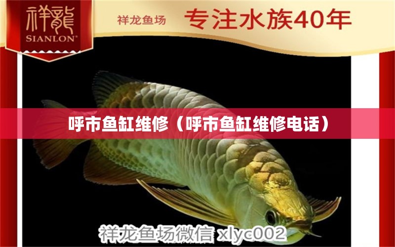 呼市魚(yú)缸維修（呼市魚(yú)缸維修電話） 祥龍水族醫(yī)院