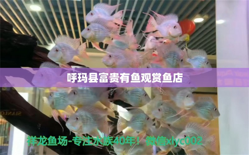 呼瑪縣富貴有魚觀賞魚店 全國水族館企業(yè)名錄