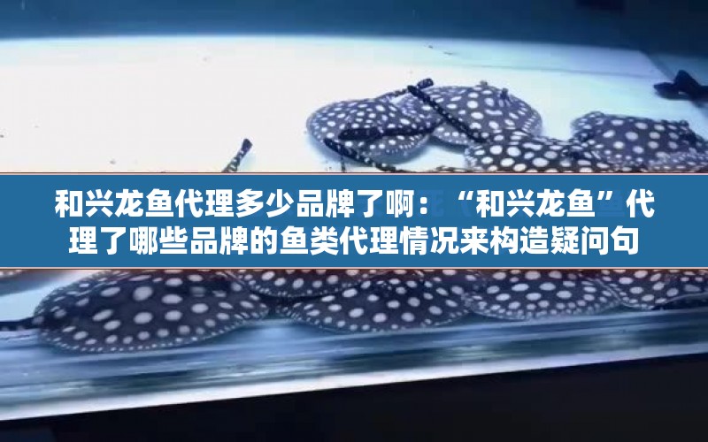 和興龍魚代理多少品牌了?。骸昂团d龍魚”代理了哪些品牌的魚類代理情況來構(gòu)造疑問句