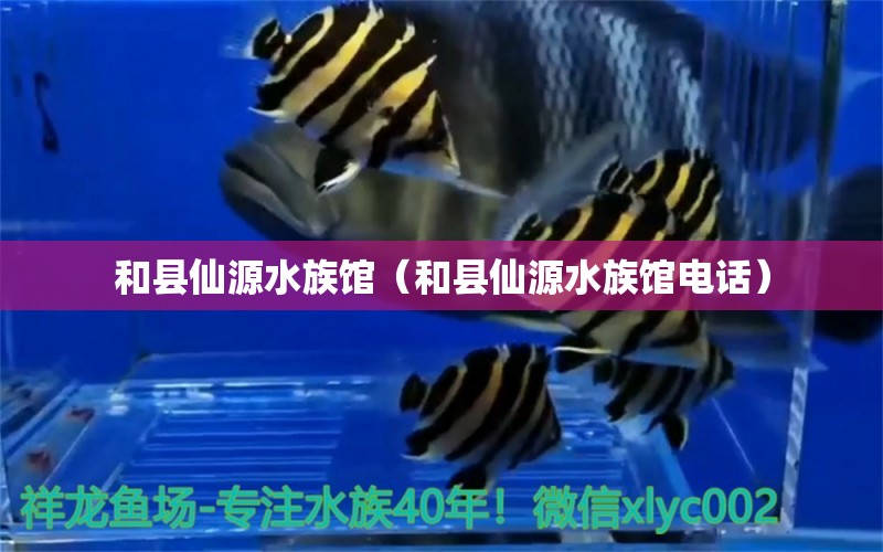 和縣仙源水族館（和縣仙源水族館電話）