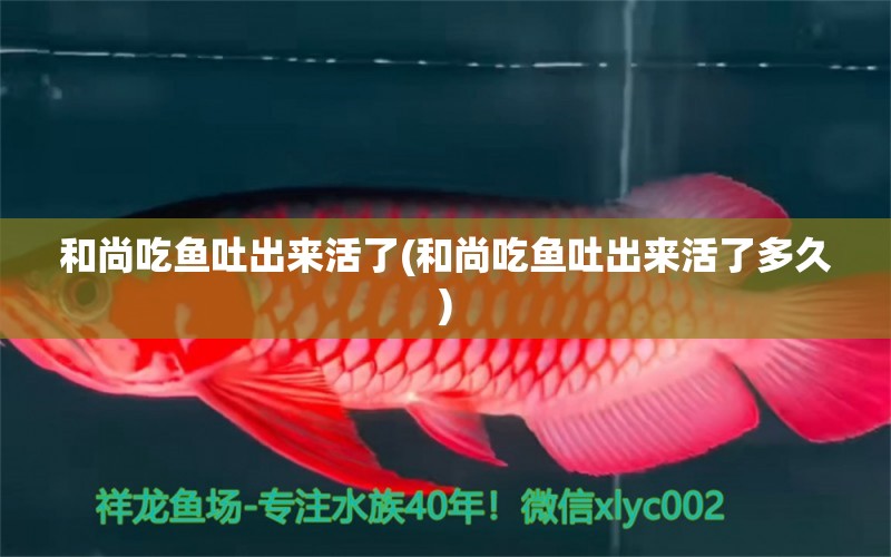 和尚吃魚吐出來活了(和尚吃魚吐出來活了多久) 水族雜談