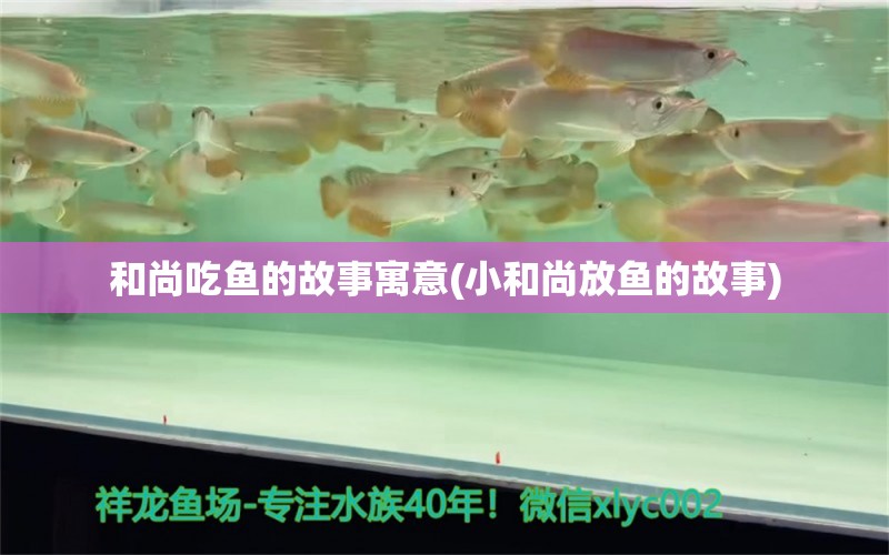 和尚吃魚的故事寓意(小和尚放魚的故事) 金三間魚