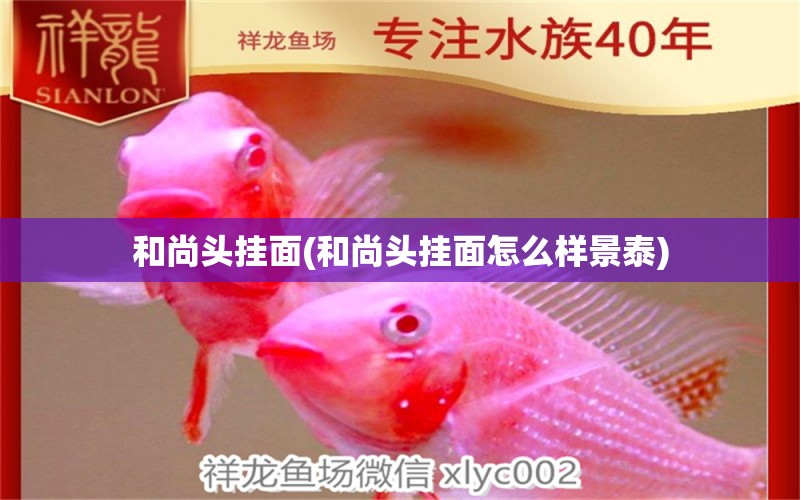 和尚頭掛面(和尚頭掛面怎么樣景泰) 祥龍超血紅龍魚