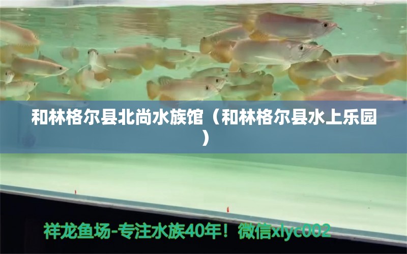 和林格爾縣北尚水族館（和林格爾縣水上樂園）