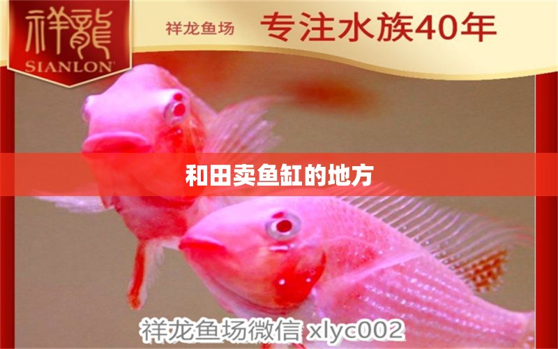 和田賣(mài)魚(yú)缸的地方 其他品牌魚(yú)缸