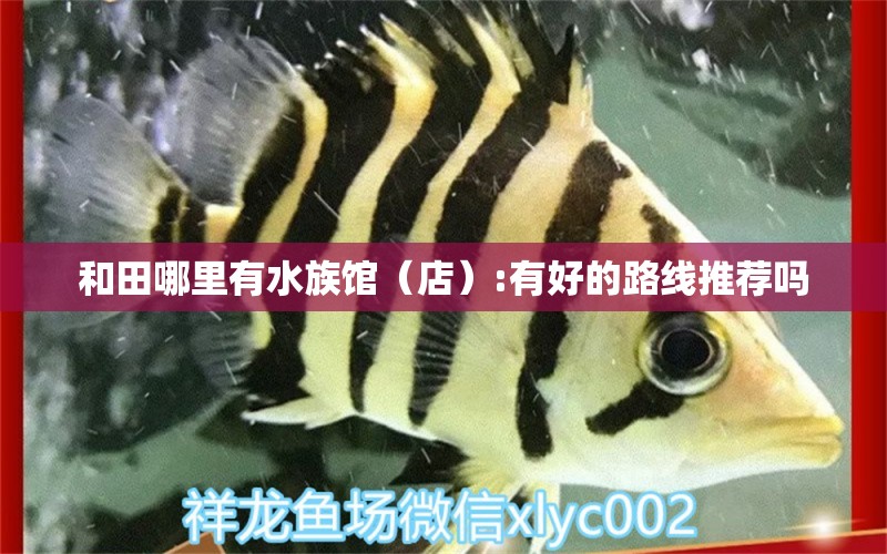 和田哪里有水族館（店）:有好的路線推薦嗎 觀賞魚水族批發(fā)市場