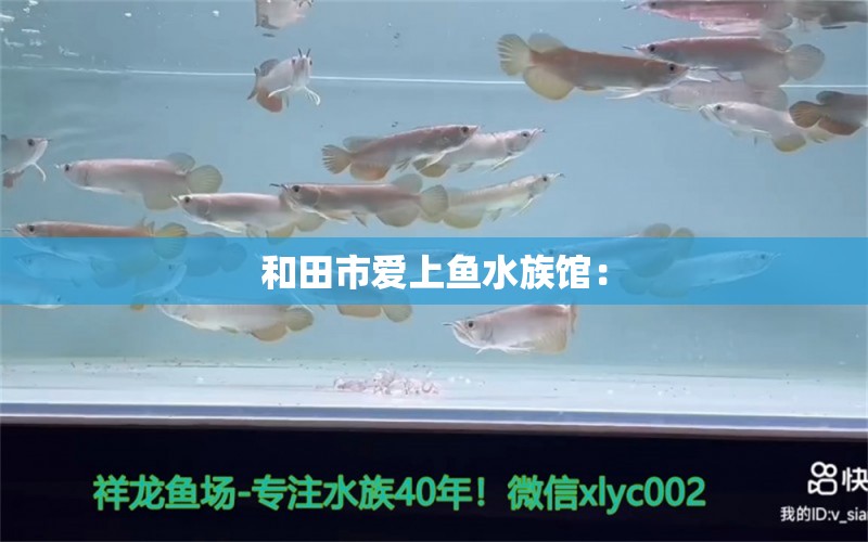 和田市愛上魚水族館： 全國水族館企業(yè)名錄