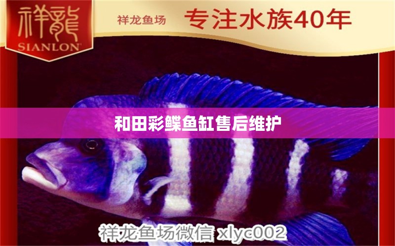 和田彩鰈魚缸售后維護(hù)