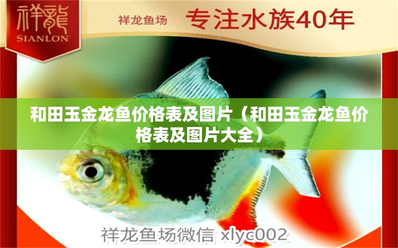 和田玉金龍魚價格表及圖片（和田玉金龍魚價格表及圖片大全） 祥龍水族醫(yī)院