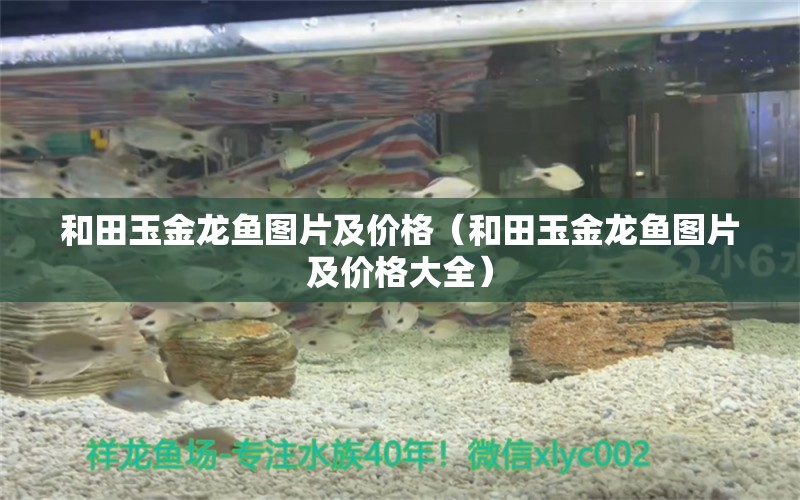 和田玉金龍魚圖片及價格（和田玉金龍魚圖片及價格大全）