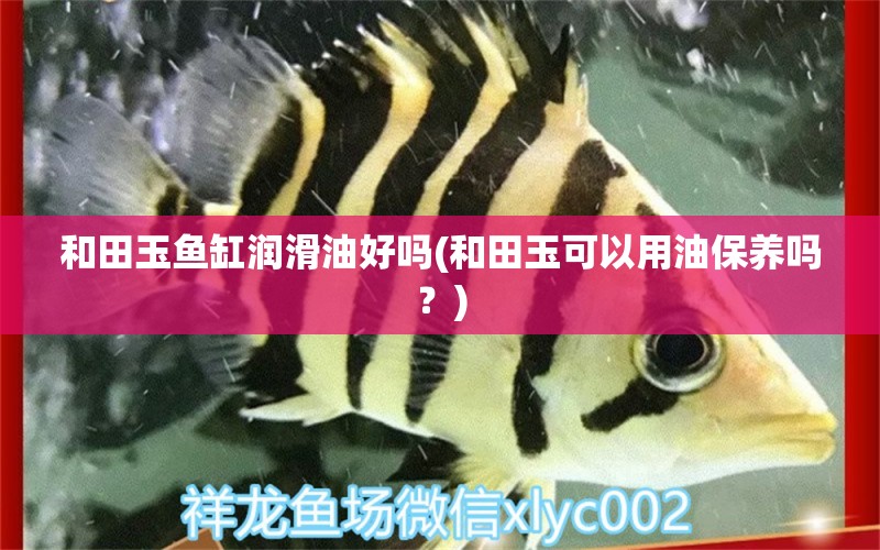 和田玉魚缸潤(rùn)滑油好嗎(和田玉可以用油保養(yǎng)嗎？) 三色錦鯉魚