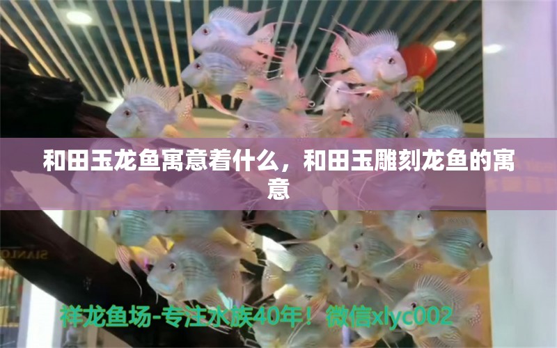 和田玉龍魚寓意著什么，和田玉雕刻龍魚的寓意 養(yǎng)魚知識 第1張