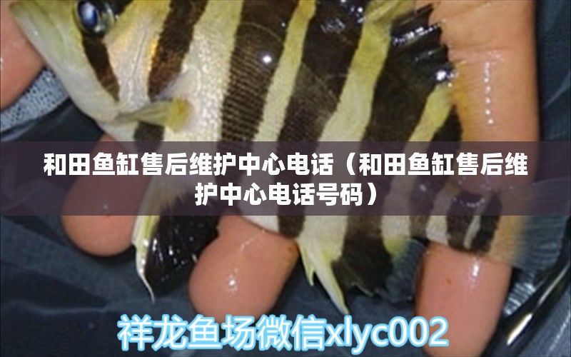 和田魚缸售后維護中心電話（和田魚缸售后維護中心電話號碼） 其他品牌魚缸