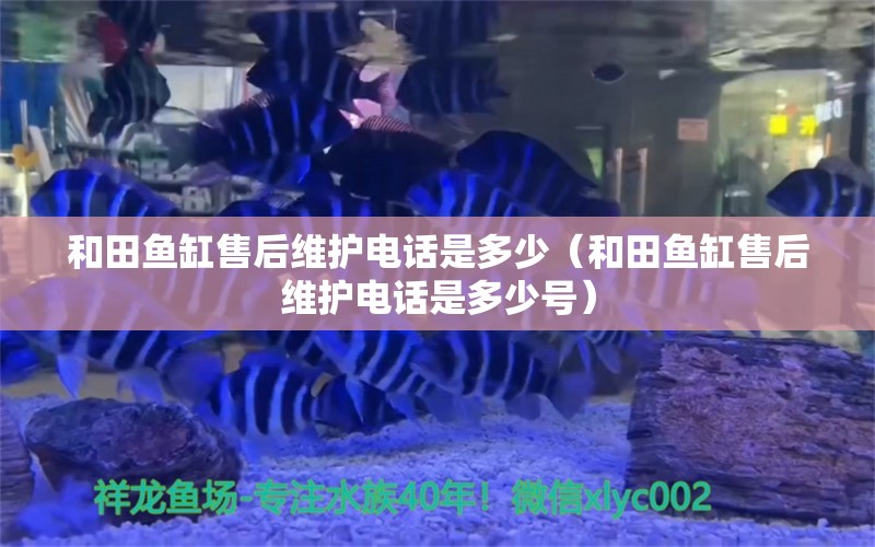 和田魚缸售后維護(hù)電話是多少（和田魚缸售后維護(hù)電話是多少號(hào)）