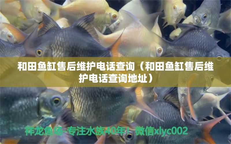 和田魚缸售后維護電話查詢（和田魚缸售后維護電話查詢地址） 其他品牌魚缸