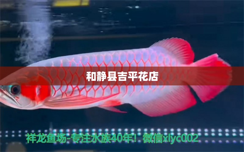 和靜縣吉平花店 全國水族館企業(yè)名錄