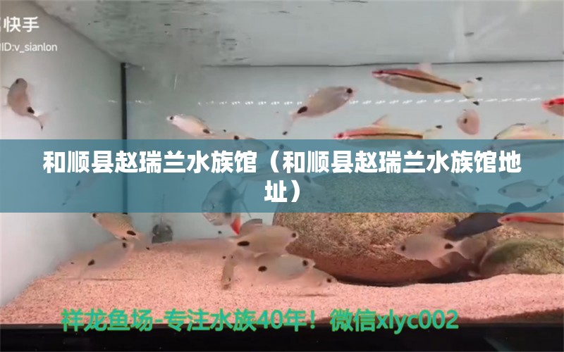 和順縣趙瑞蘭水族館（和順縣趙瑞蘭水族館地址） 全國水族館企業(yè)名錄