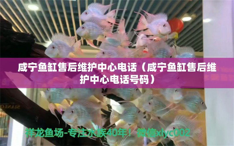 咸寧魚缸售后維護(hù)中心電話（咸寧魚缸售后維護(hù)中心電話號(hào)碼） 其他品牌魚缸