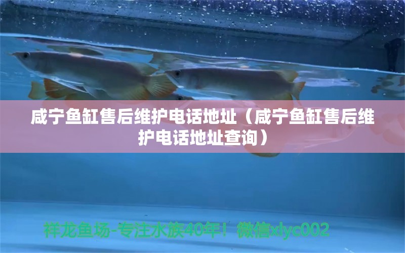 咸寧魚缸售后維護電話地址（咸寧魚缸售后維護電話地址查詢） 其他品牌魚缸