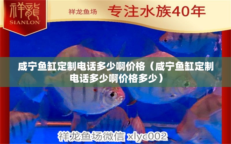 咸寧魚(yú)缸定制電話多少啊價(jià)格（咸寧魚(yú)缸定制電話多少啊價(jià)格多少） 七紋巨鯉魚(yú)