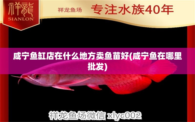 咸寧魚缸店在什么地方賣魚苗好(咸寧魚在哪里批發(fā)) 青龍魚