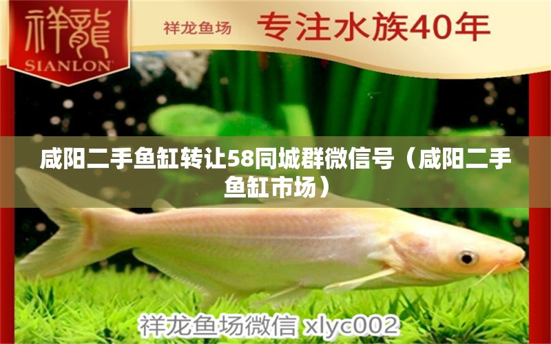 咸陽二手魚缸轉(zhuǎn)讓58同城群微信號(hào)（咸陽二手魚缸市場(chǎng)）