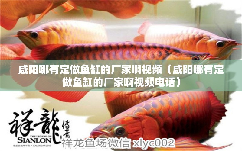 咸陽哪有定做魚缸的廠家啊視頻（咸陽哪有定做魚缸的廠家啊視頻電話）